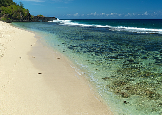 gris gris ile maurice